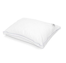 Aircell Classic Pillow